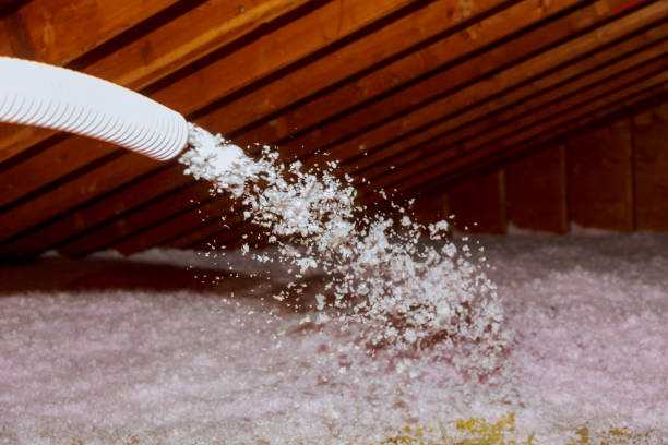 Best Insulation Inspection Services  in Parkersburg, WV