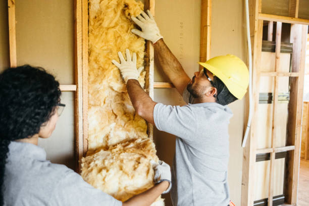 Best Residential Insulation Services  in Parkersburg, WV